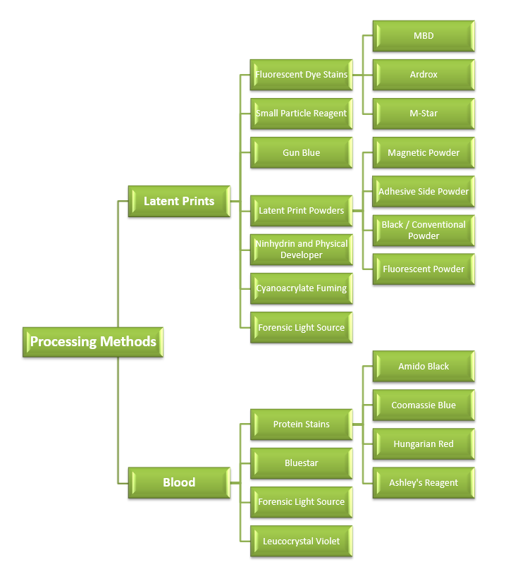 forensics - processing methods